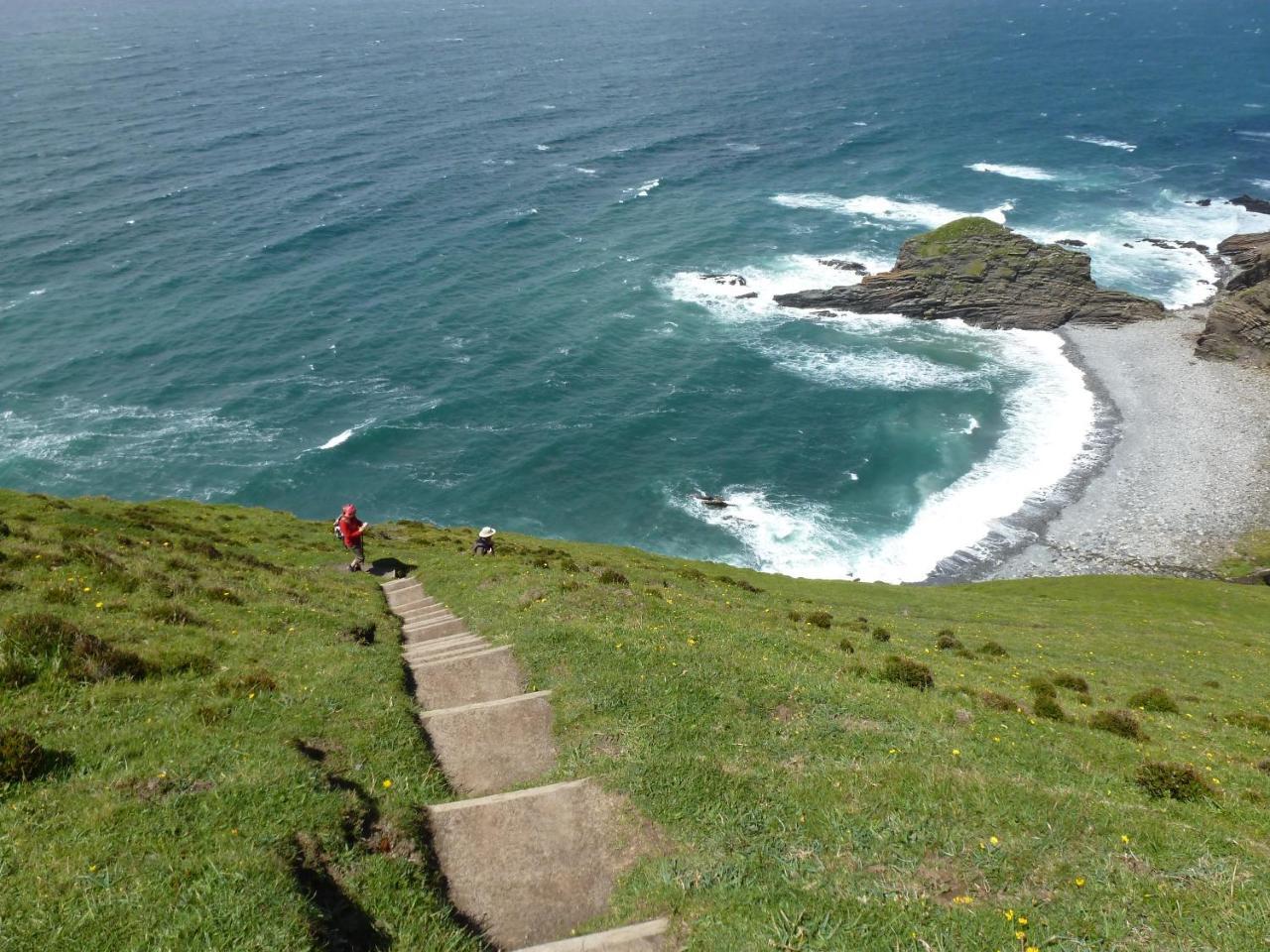 Lower Tresmorn Crackington Haven