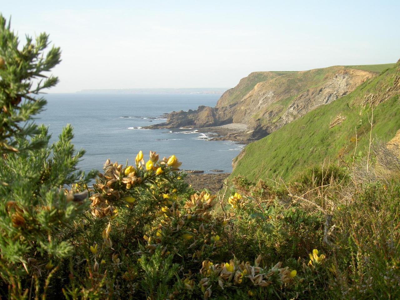 Lower Tresmorn Bed and breakfast Crackington Haven