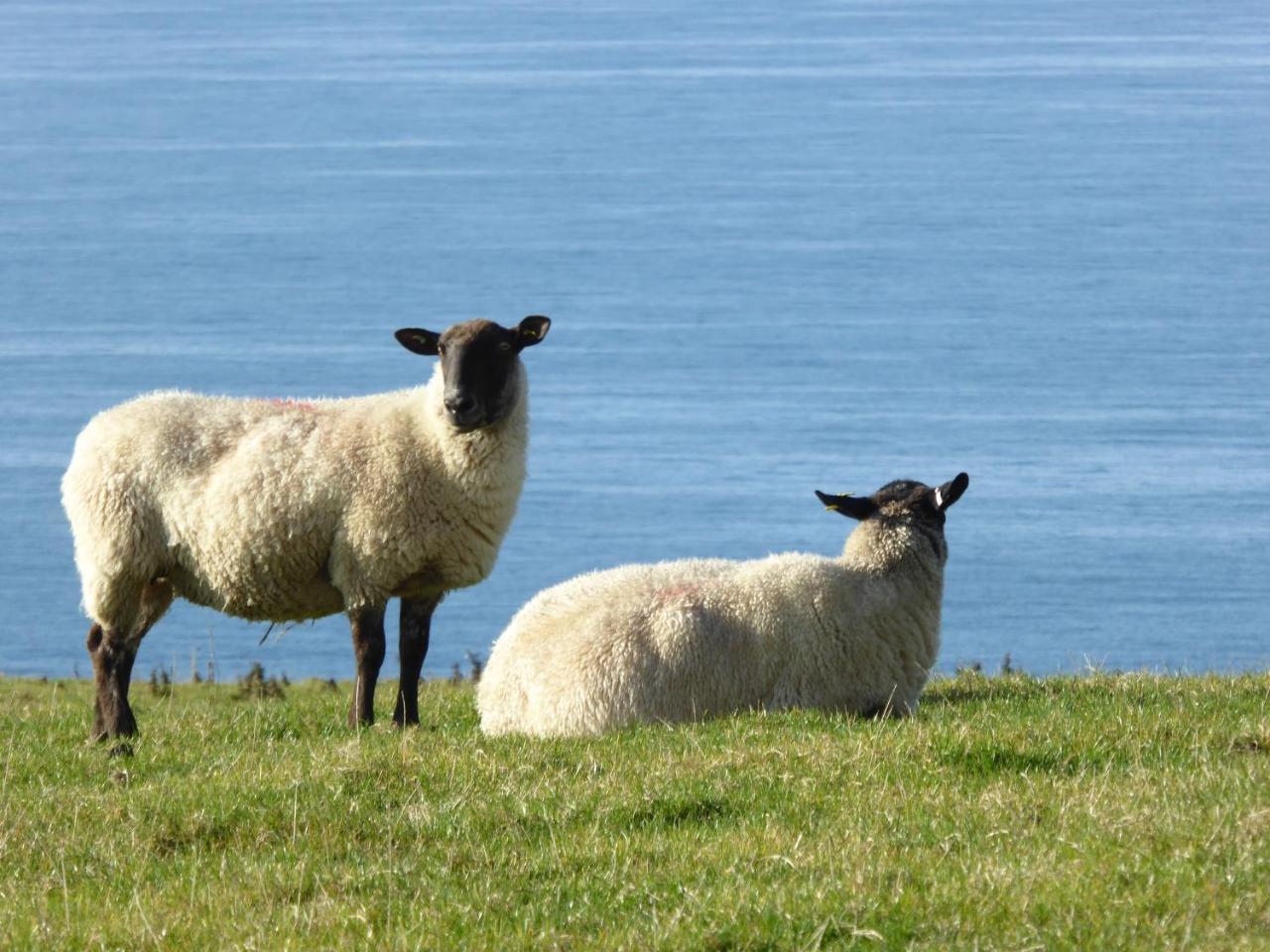 Lower Tresmorn 3* Crackington Haven
